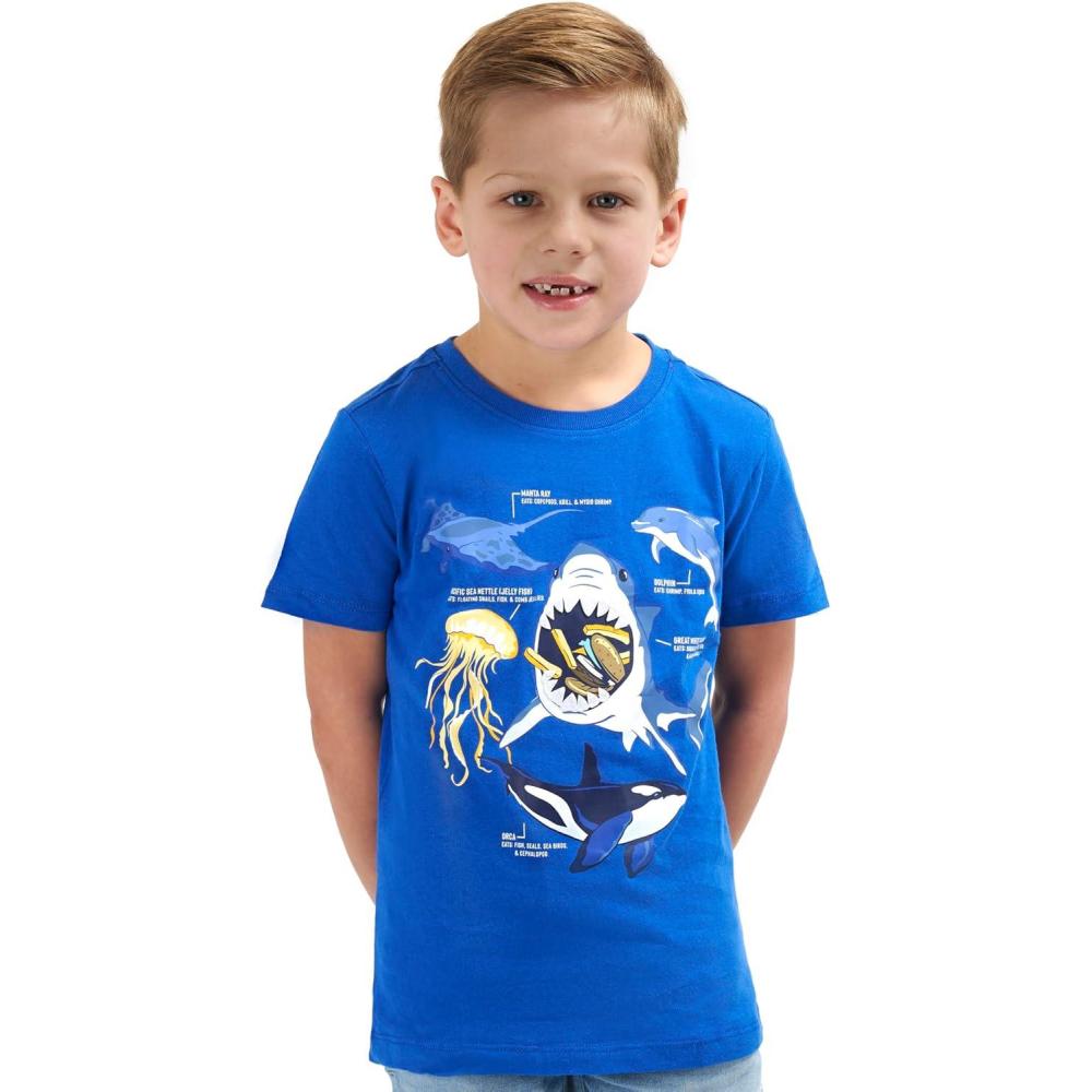 imageLands End Boys Soft Cotton Short Sleeve Graphic TShirtCobalt