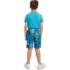 Lands’ End Boys’ Active Adventure UPF 50 Short Sleeve T-Shirt & Short Set (S-XL)(Cobalt)