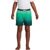 Lands’ End Boys Hydroliner Quick Dry UPF 50 Swim Trunk(Deep Balsam/Wintergreen Ombre)