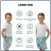 Lands’ End Little Boys’ Swimwear UPF 50 Mesh Liner Swim Trunks (XXS-S)(Aruba Blue)