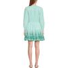 Lands’ End Women’s Long Sleeve Eyelet Mini Popover Dress(Vibrant Clover Stripe Eyelet)
