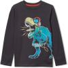 Lands’ End Boys Graphic T Shirt(Light Black Music Dino)