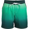 Lands’ End Boys Hydroliner Quick Dry UPF 50 Swim Trunk(Deep Balsam/Wintergreen Ombre)