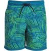 Lands’ End Boys Hydroliner Quick Dry UPF 50 Swim Trunk(Paradise Teal Stipple Palm)