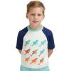 Lands’ End Kids Boys and Girls Swimwear UPF 50 Short Sleeve Rash Guard Shirt (XXS-XL)(Beach Glass)