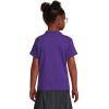 Lands’ End School Uniform Girls Short Sleeve Feminine Fit Interlock Polo Shirt(Deep Purple)
