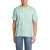 Pale Teal Stripe