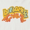 Lands’ End Boys Graphic T Shirt(Dynamite/Egret)