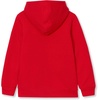 Lands’ End Kids High Pile Lined Zip Hoodie(Bright Red Buffalo Plaid)