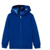 Galaxy/Royal Blue
