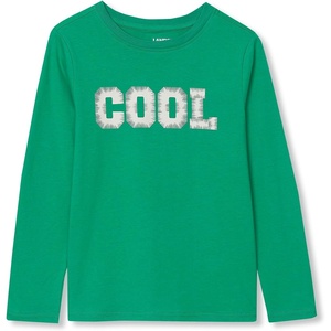 Lands’ End Boys Graphic T Shirt(Cool/Deep Mint)
