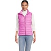 Aster Pink