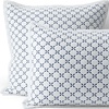 Antique Navy