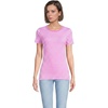 Aster Pink/Orchid Stripe